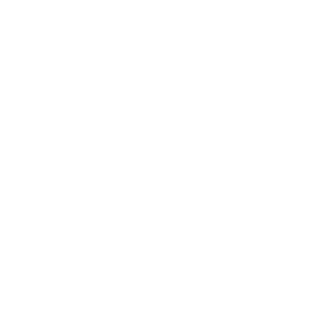 Havan