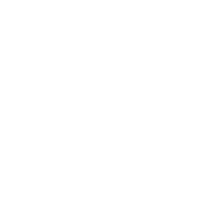 Sebrae